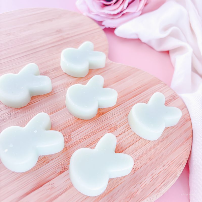 coastal home fragrance, fresh home fragrance wax melts, oceanic wax melts, room fragrance, luxury home fragrance, handmade wax melts Belfast, home scent luxury