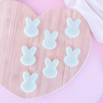 coastal home fragrance, fresh home fragrance wax melts, oceanic wax melts, room fragrance, luxury home fragrance, handmade wax melts Belfast, home scent luxury