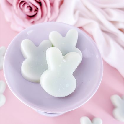 coastal home fragrance, fresh home fragrance wax melts, oceanic wax melts, room fragrance, luxury home fragrance, handmade wax melts Belfast, home scent luxury