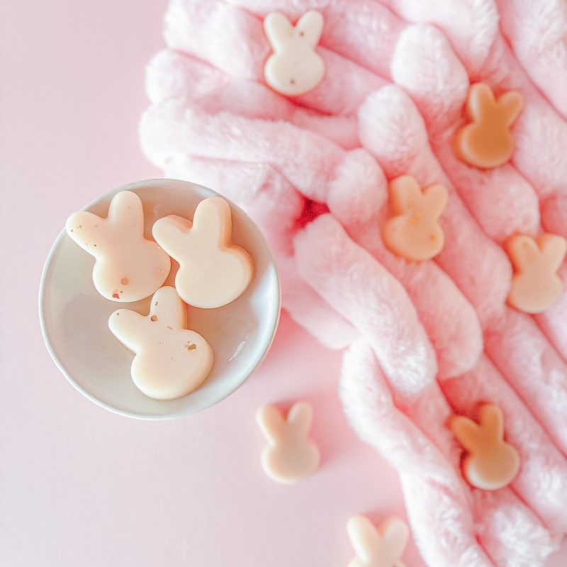 Refreshing scented wax melts Belfast – Bunny Blessings, bright home fragrance wax melts UK – Bunny Blessings, aniseed and marine notes wax melts by Scent Bunny, handmade seasonal wax melts Belfast, clean and fresh home fragrance wax melts – Bunny Blessings.
