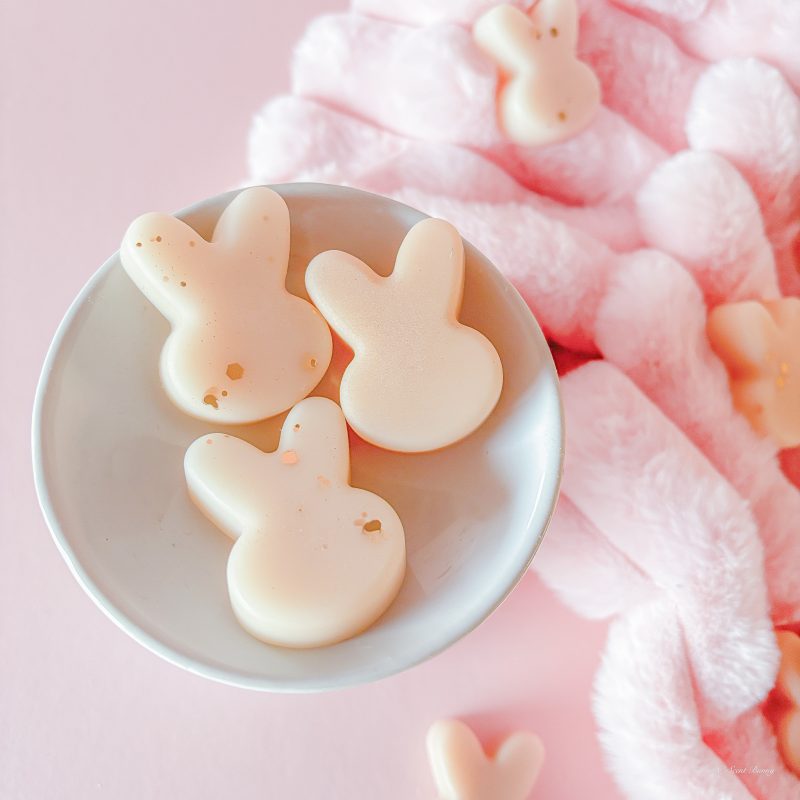 Refreshing wax melts Belfast – Bunny Blessings, bright home fragrance wax melts UK – Bunny Blessings, aniseed and marine notes wax melts by Scent Bunny, handmade seasonal wax melts Belfast, clean and fresh home fragrance wax melts – Bunny Blessings.