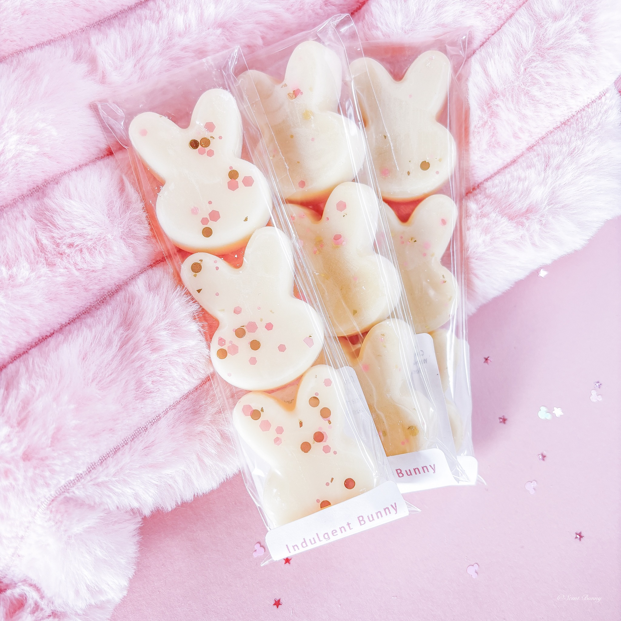 Scent Bunny wax melts belfast-2139