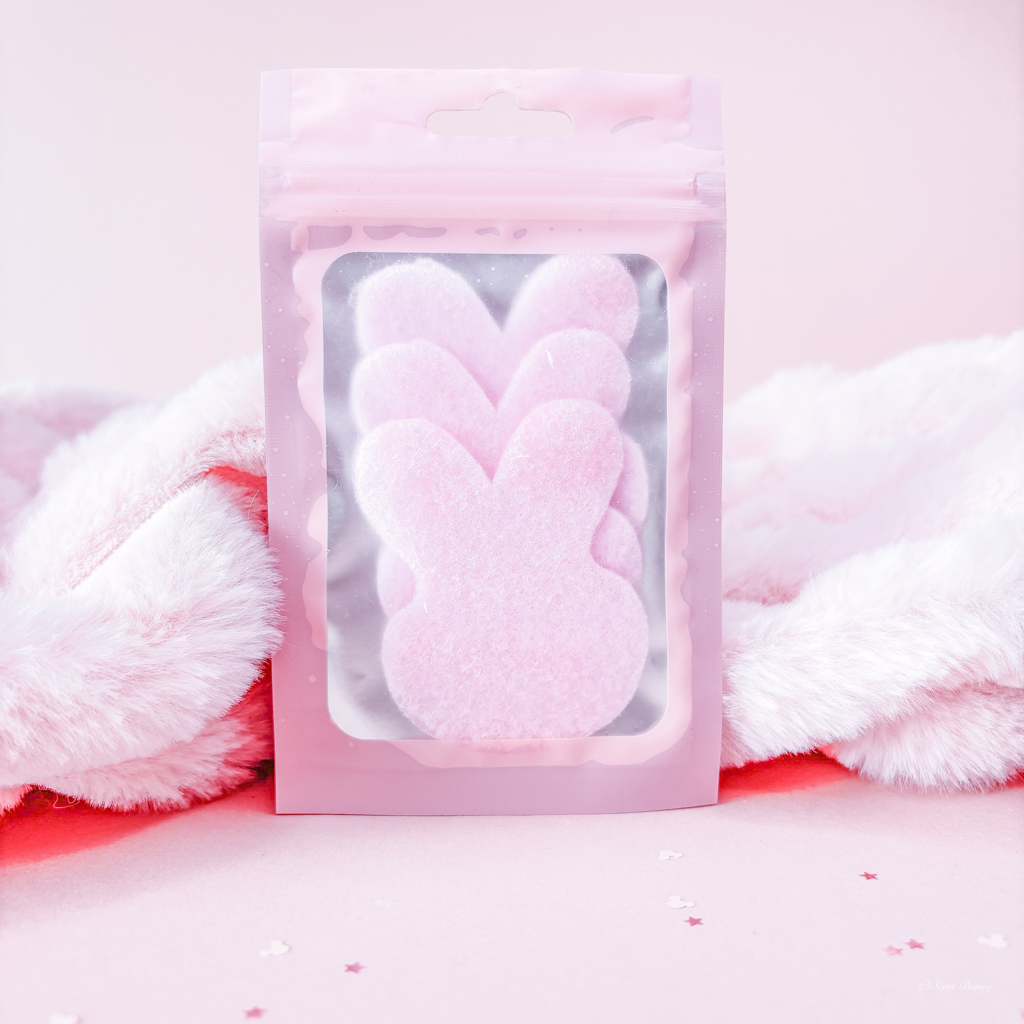Vacuum Fresheners, scent bunny, belfast