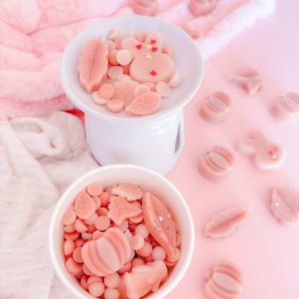 Winterberry Bunny fruity wax melts – bright berry scent, rhubarb and cinnamon wax melts UK, winter berry-inspired wax melts, sandalwood berry wax melts Scent Bunny, cozy winter fragrance melts.