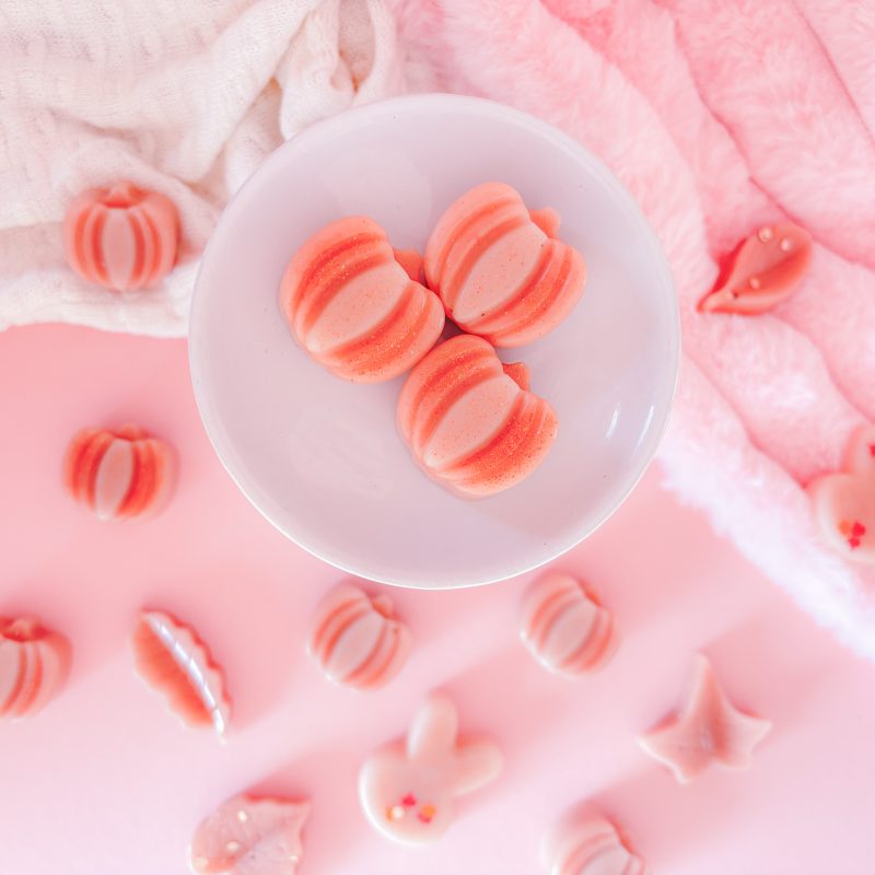 Winterberry Bunny fruity wax melts – bright berry scent, rhubarb and cinnamon wax melts UK, winter berry-inspired wax melts, sandalwood berry wax melts Scent Bunny, cozy winter fragrance melts.